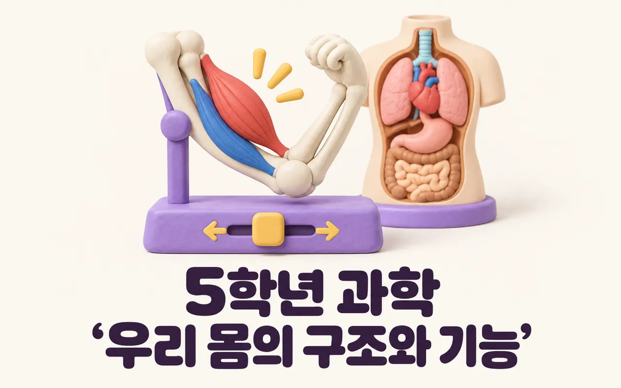 5학년 과학 ‘우리 몸의 구조와 기능’ 대표 화면